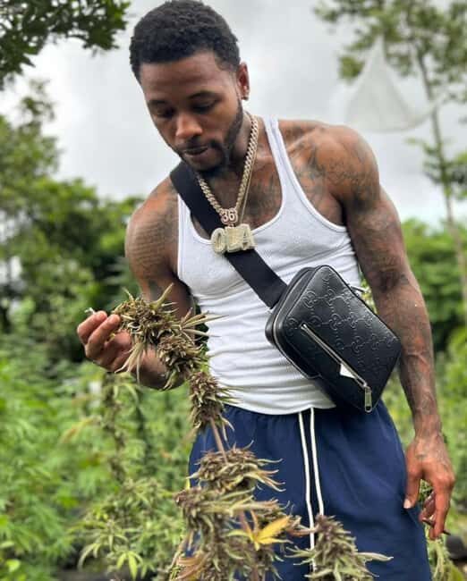 Montego Bay: Cannabis Farm, Bamboo Rafting, & Foot Massage - The Sum Up