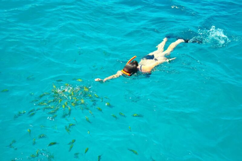 Montego Bay Catamaran Cruise and Snorkeling Tour - Practical Details and Considerations