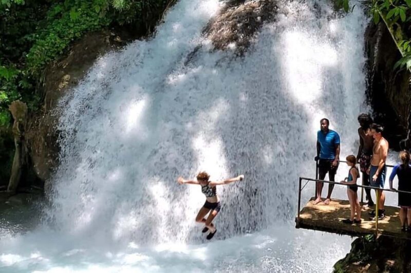 Montego Bay: Chuck Norris Falls & Dunn's River Falls Tour - The Itinerary: A Close-Up Look at the Waterfalls and Forests  