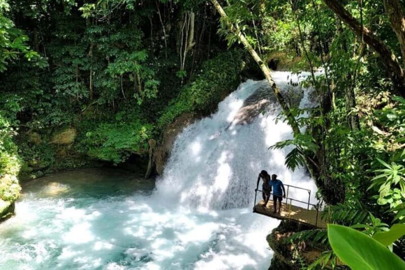 Montego Bay: Chuck Norris Falls & Dunn's River Falls Tour - Pricing and Value  