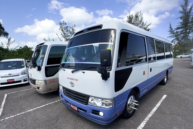 Montego Bay City highlight And Souvenir Shopping Group Tour - Good To Know