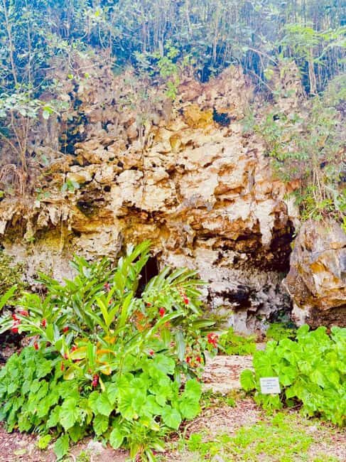 Montego Bay: Cockpit Caves Experience - Why You Should Consider This Tour