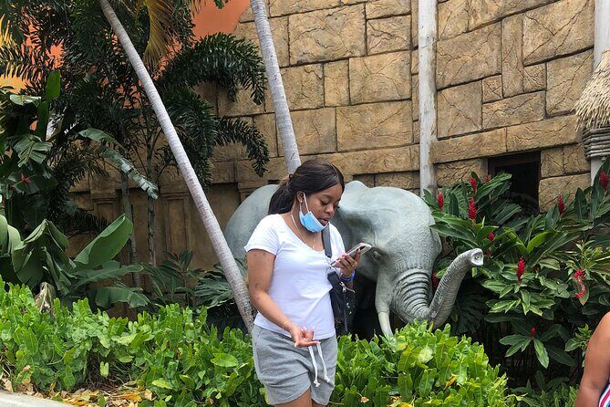 Montego Bay community highlight - Who Would Love This Experience?  