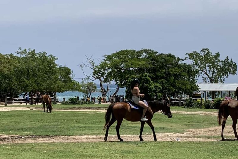 Montego Bay: Day Trip with Zipline, ATV, and Horseback Ride - The Realities: What Travelers Say