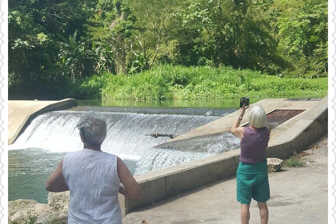 Montego bay Delights Highlight Tour - What the Tour Offers: An In-Depth Look