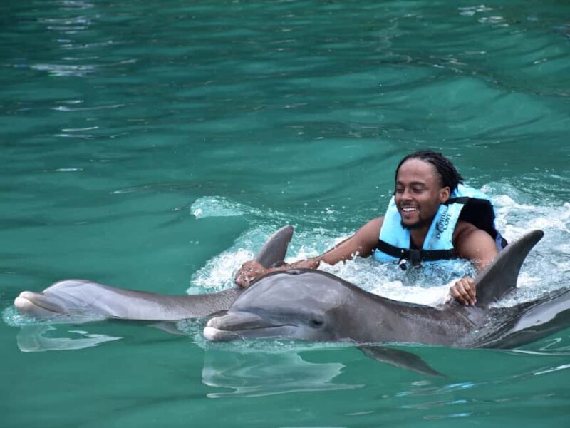 Montego Bay: Dolphin Cove Ocho Rios Day Trip with Transfers - The Experience: Real Insights from Reviewers