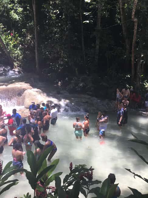 Montego Bay: Dunn's River Falls and Ocho Rios Day Trip - An In-Depth Look at the Dunns River Falls and Ocho Rios Day Trip
