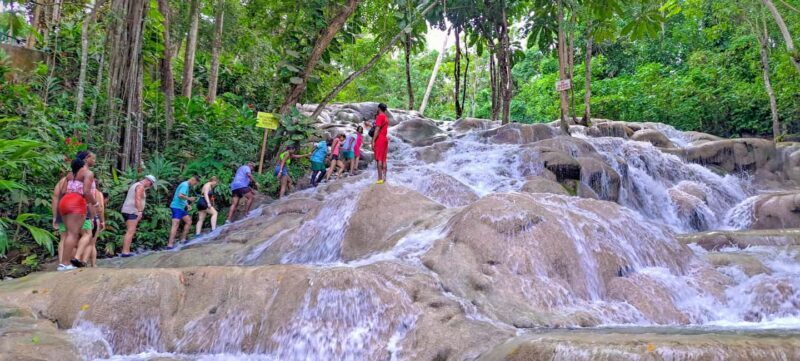 Montego Bay: Dunn's River Falls & Blue Hole Combo - The Itinerary Breakdown: What to Expect