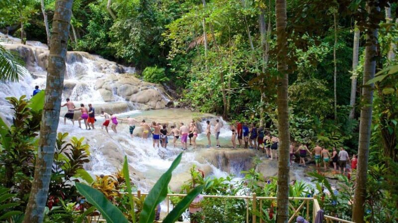 Montego Bay: Dunn's River Falls & Horseback Riding Adventure - Good To Know