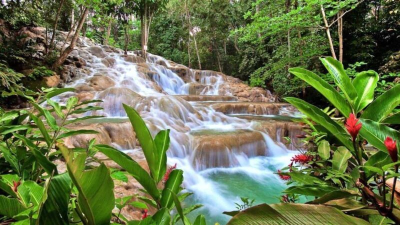 Montego Bay: Dunn's River Falls & Horseback Riding Adventure - A Closer Look at the Experience