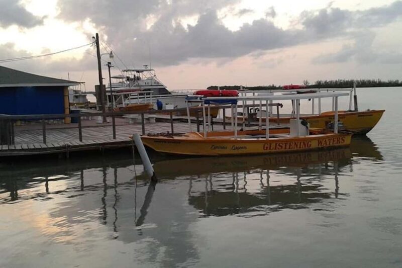 Montego Bay: Dunn's River Falls & Luminous Lagoon Tour - Breaking Down the Experience