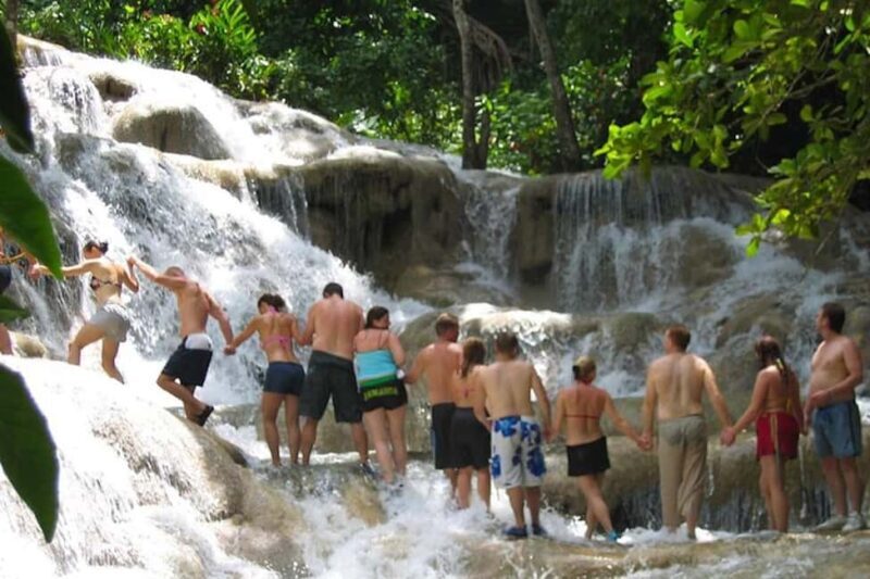 Montego Bay: Dunn's River Falls & Luminous Lagoon Tour - Who Is This Tour For?