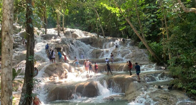 Montego Bay: Dunn's River Falls Private Excursion - A Closer Look at the Dunn’s River Falls Private Excursion