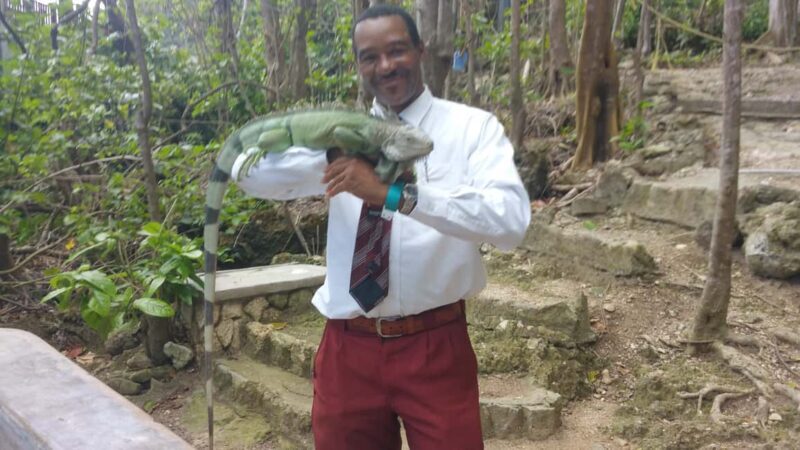 Montego Bay Excursion and Beach - The Practical Side: Transportation, Timing, and Group Size