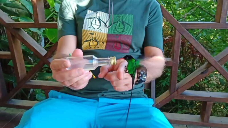 Montego Bay/Falmouth: Rockland Bird Sanctuary Private Tour - Good To Know  