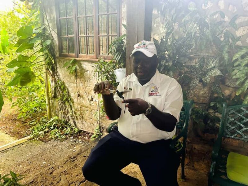 Montego Bay/Falmouth: Rockland Bird Sanctuary Private Tour - Guides and Their Role  