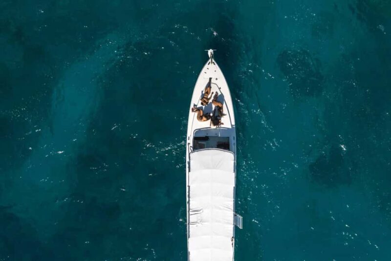 Montego Bay: Full-Day Speedboat Trip to Negril - Final Thoughts