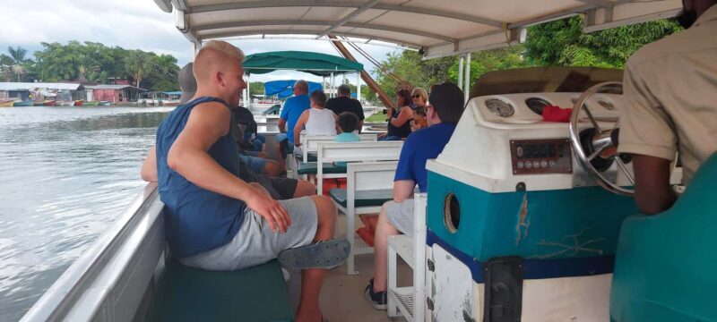 Montego Bay: Half-Day Black River Safari - A Closer Look at the Black River Safari Experience