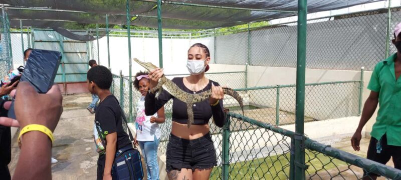 Montego Bay: Half-Day Black River Safari - The Sum Up