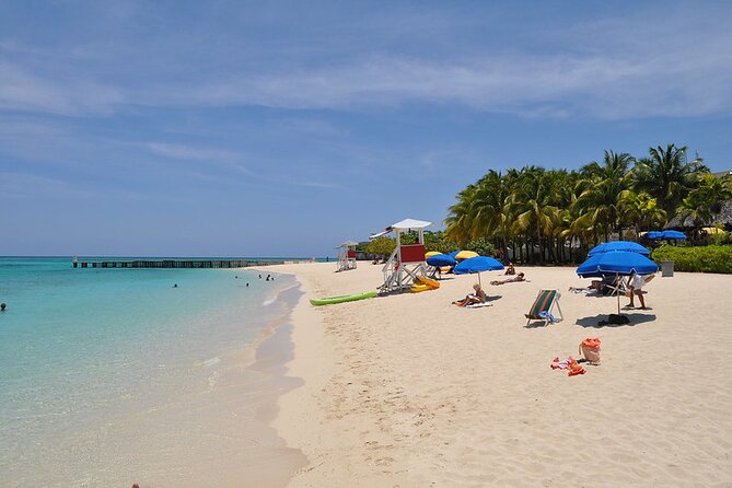 Montego Bay Highlights From Montego Bay Hotels - Common Questions