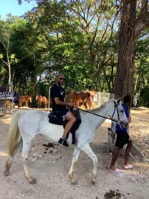 Montego Bay: Horseback Riding and Dunn's River Falls Tour - Good To Know