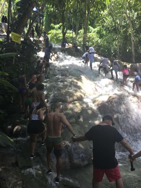 Montego Bay: Horseback Riding and Dunn's River Falls Tour - An In-Depth Review of the Tour Experience