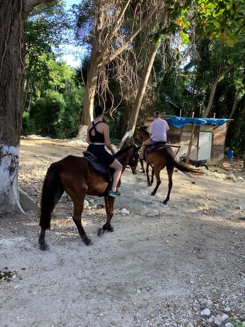 Montego Bay: Horseback Riding and Dunn's River Falls Tour - The Horseback Riding Along Jamaica’s Coast