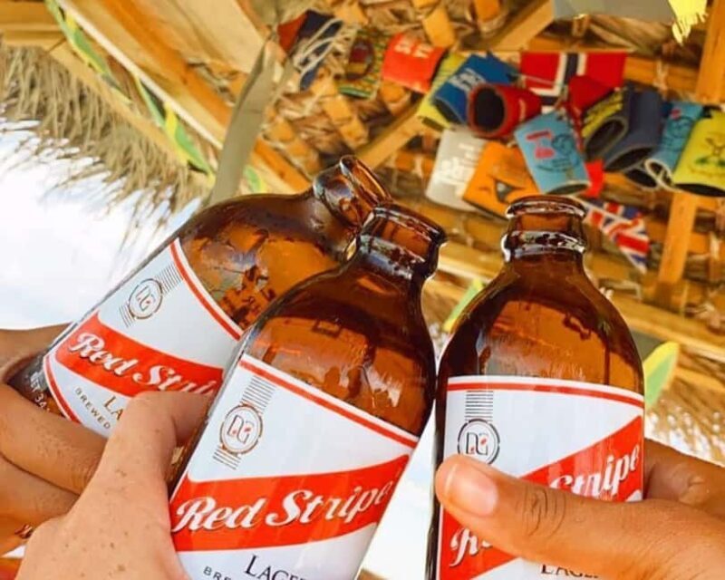 Montego Bay Magic: Jamaicas Vibrant Heartbeat Tour - Pricing and Value