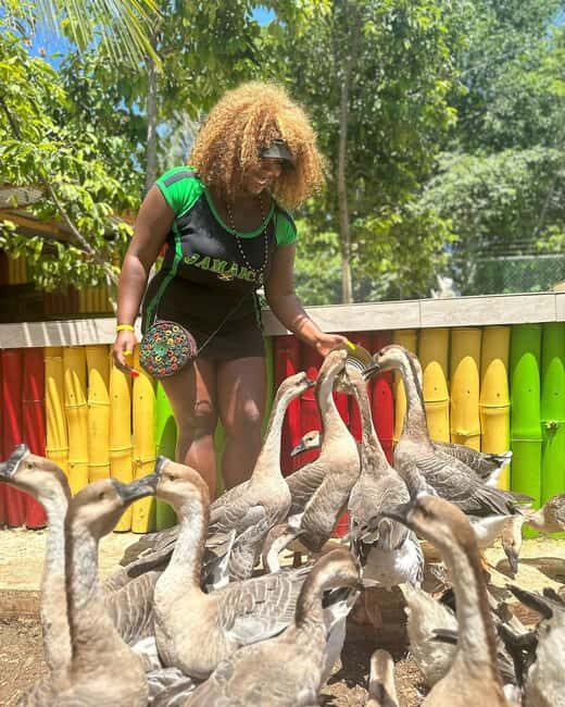 Montego Bay: Marijuana Farm and Bird Sanctuary Tour - FAQ