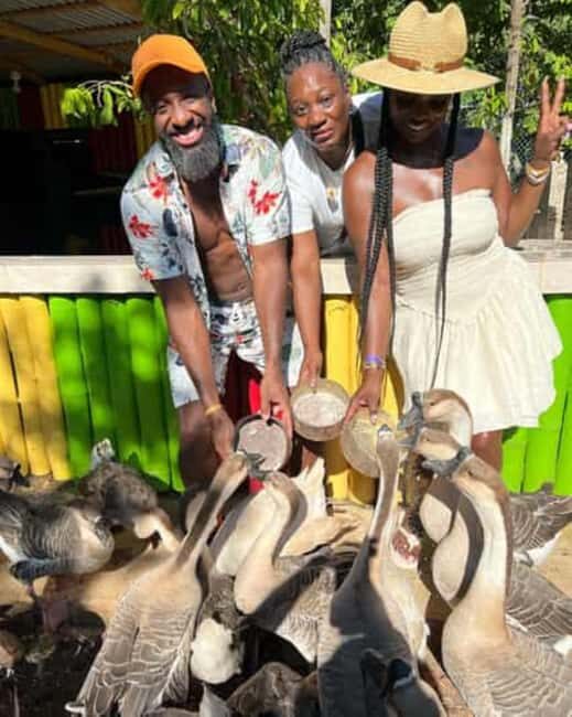 Montego Bay: Marijuana Farm and Bird Sanctuary Tour - Authentic Insights from Reviewers