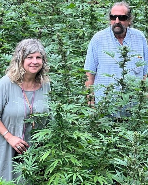 Montego Bay: Marijuana Farm Private Tour with Transportation - Value and Practical Aspects of the Tour