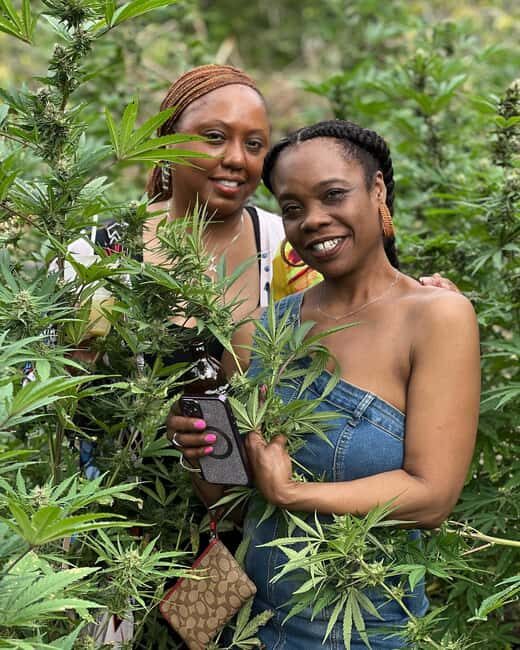 Montego Bay: Marijuana Farm Private Tour with Transportation - Authentic Reviews and What They Reveal