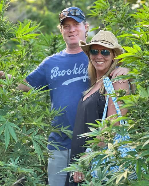 Montego Bay Marijuana Farm Tour - Practical Details and Value