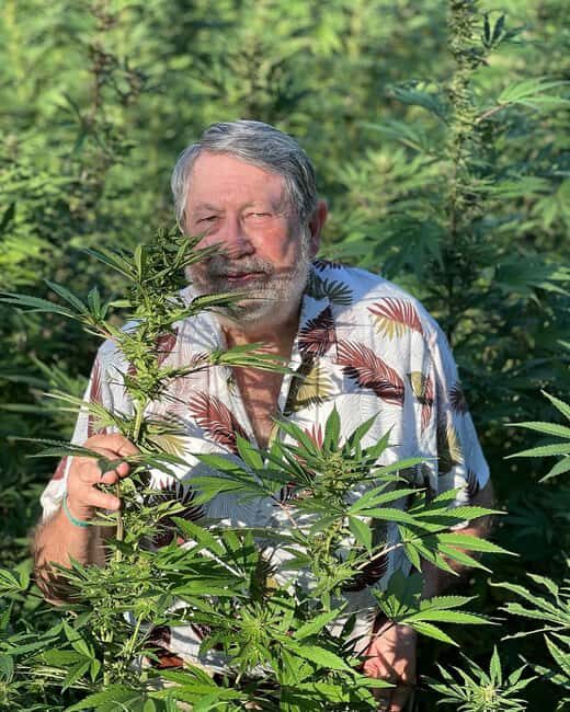 Montego Bay Marijuana Farm Tour - Comparing Similar Experiences