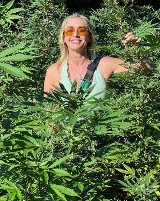 Montego Bay Marijuana Farm Tour - FAQs