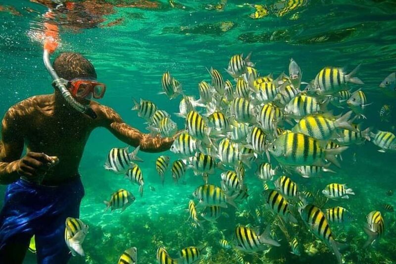 Montego Bay: Negril Seven Miles Beach & Booby Cay Boat Tour - Good To Know