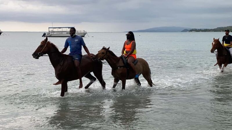 Montego Bay: Oceanfront Horseback Ride at Braco Stables - Scenic Trails and Ocean Views