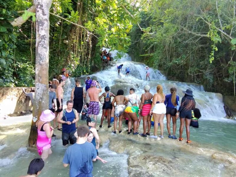 Montego Bay: Private Bob Marley and Dunn's River Falls Tour - Exploring the Itinerary in Detail
