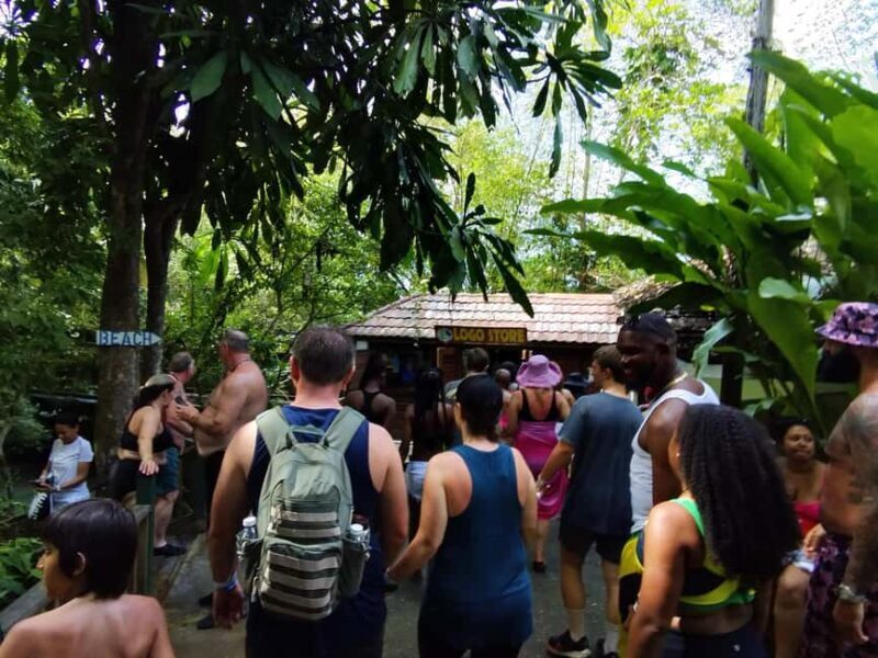 Montego Bay: Private Bob Marley and Dunn's River Falls Tour - Practicalities and Tips for Travelers
