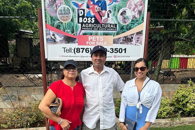 Montego bay private city tour - Who is This Tour Best For?