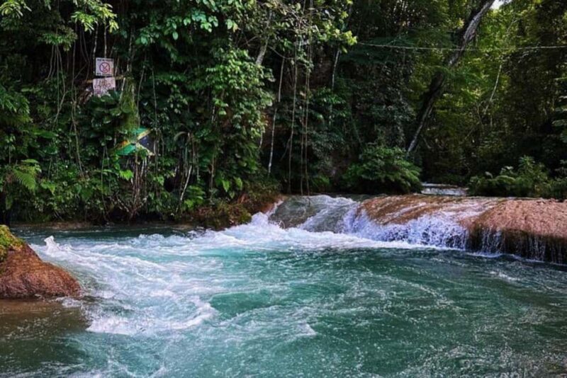 Montego Bay: Private Dunn's River Falls and Blue Hole Tour - Why You’ll Love This Tour