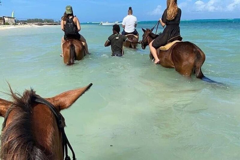 Montego Bay: Private Horseback Ride & Blue Hole Tour - Good To Know