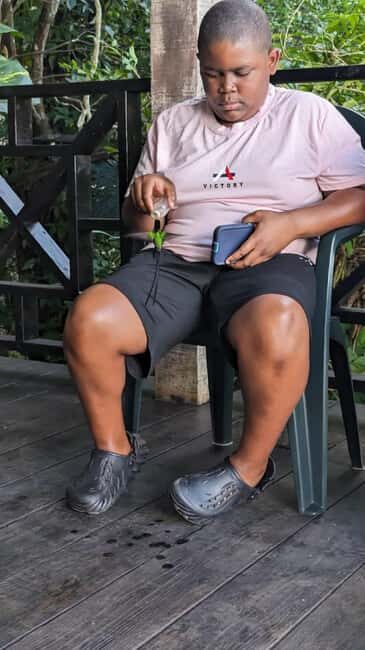 Montego Bay: Private Rocklands Bird Sanctuary Trip - The Itinerary in Detail