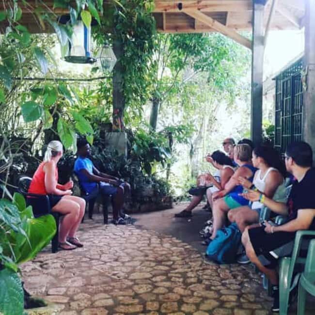 Montego Bay: Private Rocklands Bird Sanctuary Trip - What to Expect from This Bird Sanctuary Trip