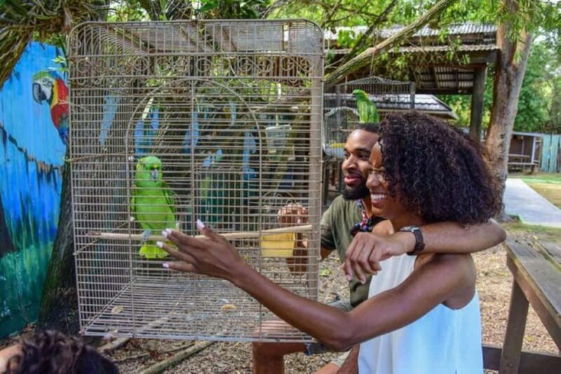 Montego Bay: Private Rocklands Bird Sanctuary Trip - Is This Tour Right for You?