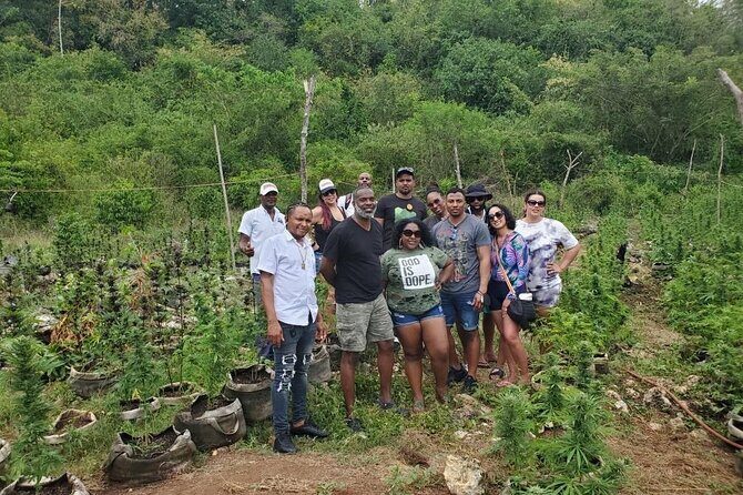 Montego Bay Private Transfer - Cost and Value Analysis