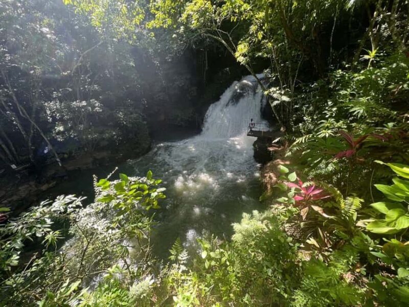 Montego Bay: Secret Falls And River Rapids Adventure - The Pros and Cons