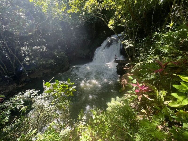 Montego Bay: Secret Falls And River Rapids Adventure - Who Will Love This Tour?