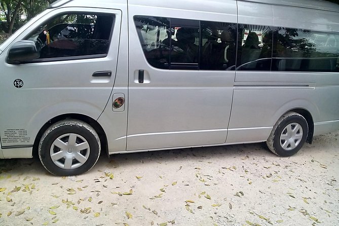 Montego Bay Shore Excursion: Private Custom Sightseeing Tour - Pricing & Booking Details