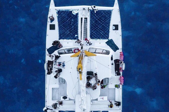 Montego Bay Sunset Catamaran with Private Transfer - What the Experience Feels Like